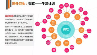 2017年人工智能行業(yè)發(fā)展研究報(bào)告 人工智能基礎(chǔ)軟件開發(fā)