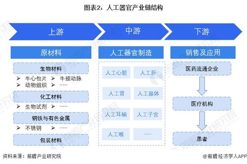 預(yù)見2024 中國(guó)人工器官行業(yè)全景圖譜——市場(chǎng)現(xiàn)狀、競(jìng)爭(zhēng)格局與發(fā)展趨勢(shì)解析